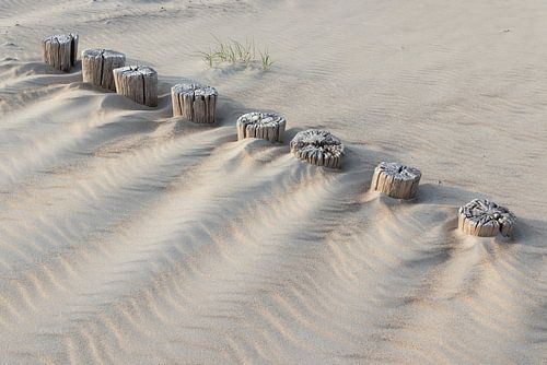 Mastenreihe am Strand