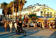 Venice Beach 2, California by Samantha Phung thumbnail