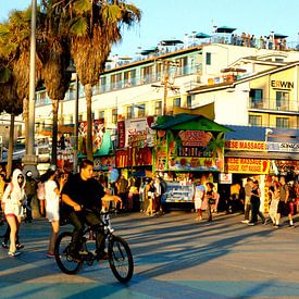 Venice Beach 2, California von Samantha Phung