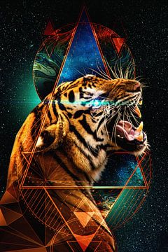 Himmlisches Getöse von John Dan