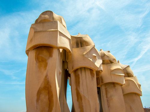 The knights of Gaudi