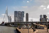 Skyline Rotterdam van Rob Altena thumbnail