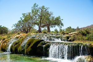 Wadi Darbat, Dhofar, Oman