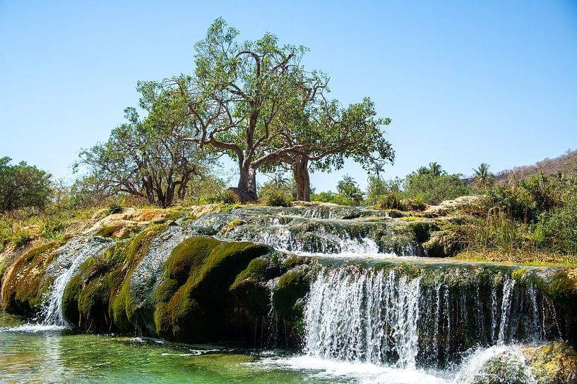 Wadi Darbat, Dhofar, Oman van Jan Fritz