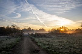 Sunrise by ton vogels