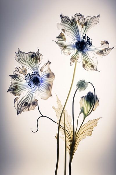 Magic flowers by Bert Nijholt