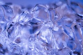 Frozen embrace by Nanda Bussers