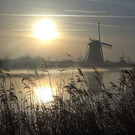 Kinderdijk bij zonsopkomst van Joost Hinderdael