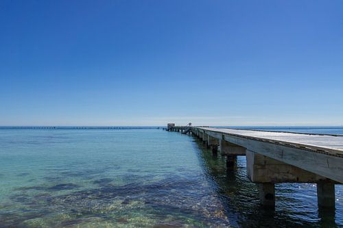USA, Floride, Ancien débarcadère et nombreux pélicans sur une plage parfaite
