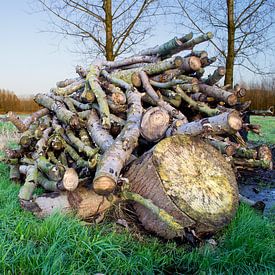 een houtstapel van Laura den Otter