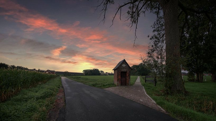 Sunrice Aalbeke by Pat Desmet