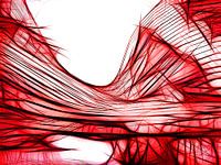 Symmetry in red