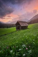 Hay shed