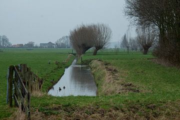 Alkeetse polder 03 van Hans Blommestijn