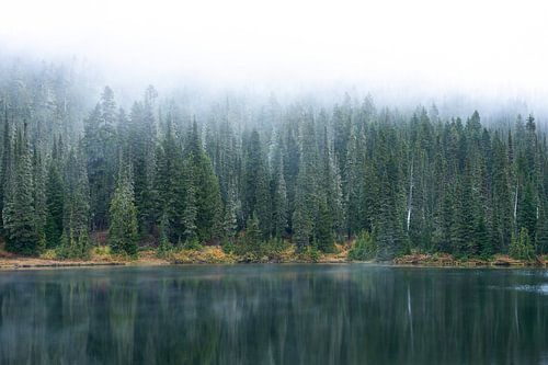 Een dag bij het meer