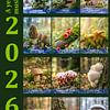 Kalender Pilze 2026 englische Version von Max Steinwald