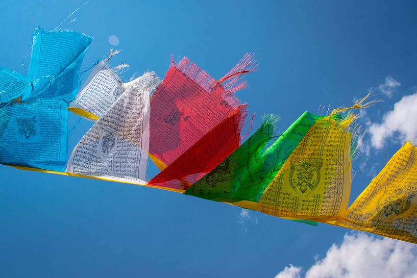 Die Gebetsfahnen flattern im Wind, Tibet von Rietje Bulthuis