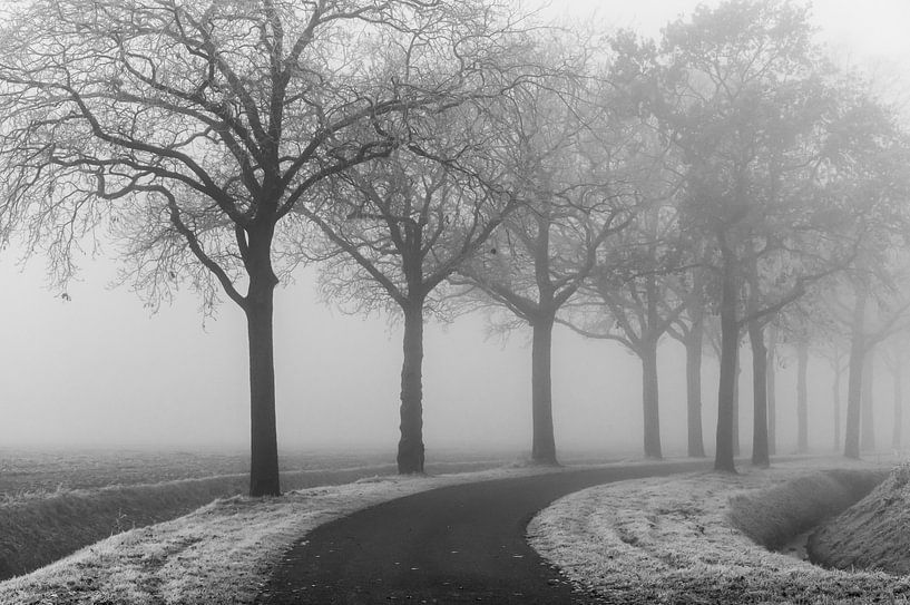 Fog on a cold wintermorning by Marianne van der Westen