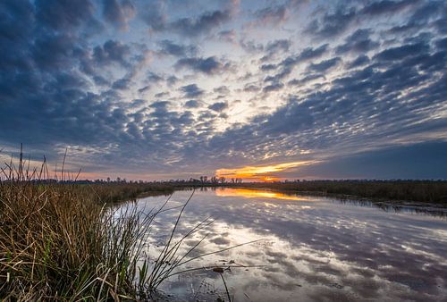 Reflectie in een waterpoel tijdens een ondergaande zon