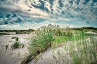 Texel met de De Hors natuurgebied met jonge duinen van eric van der eijk thumbnail