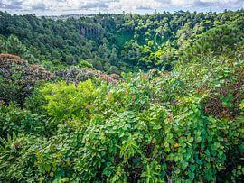 Mauritius - Vulkankrater Trou Aux Cerfs