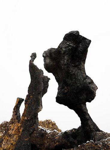 Formes naturelles sur Erna Kampman