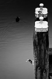 Toll collector