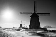 Windmolens Schermerhorn van Ruud Peters thumbnail