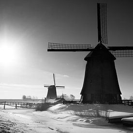 Windmolens Schermerhorn van Ruud Peters