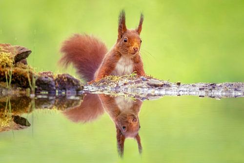 Spiegeltje spiegeltje...