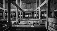 Urbex in old factory by Anton Steenbergen thumbnail