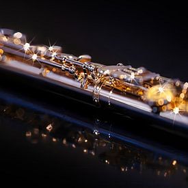 Transverse flute by FotoSynthese