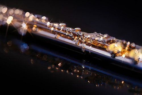 Transverse flute by FotoSynthese