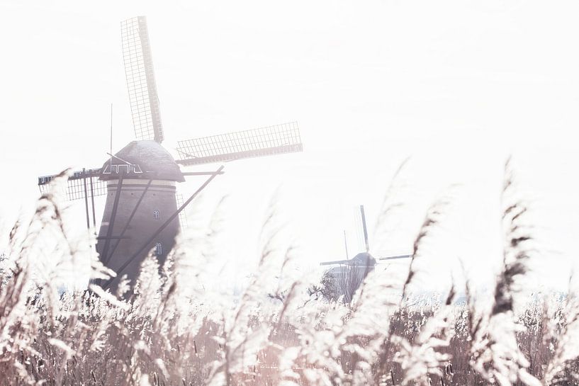 Kinderdijk van Martijn Schruijer