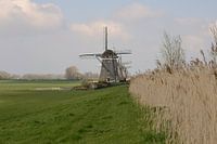 The three mills of Stompwijk