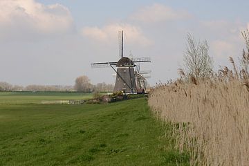 de drie molens van Stompwijk van Rosenthal fotografie