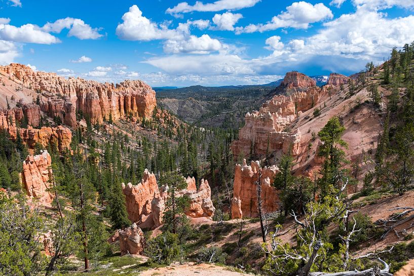 Uitzicht op Bryce Canyon Nationaal Park in Amerika van Linda Schouw