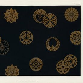 Uitstekend Japans patroon van Frank Zuidam