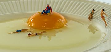 swimm in the egg von ChrisWillemsen