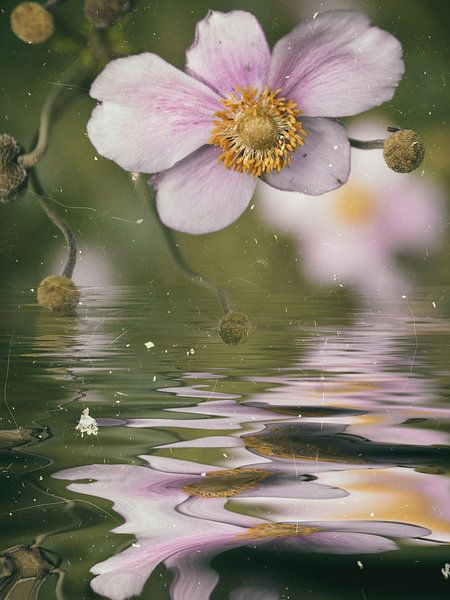 Een vleugje van de herfst van Christine Nöhmeier