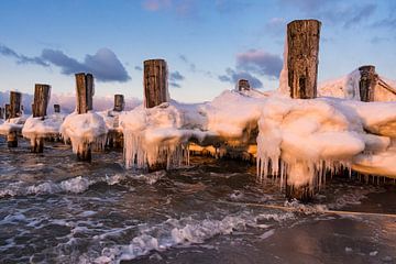 Buhne an der Ostseeküste bei Zingst im Winter von Rico Ködder