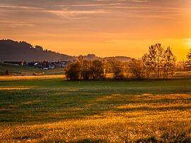 Zonsondergang in het landschap