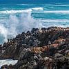 De ruige kust van Zuid-Afrika van Discover Dutch Nature
