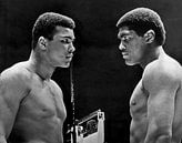 Muhammad Ali with Ernie Terrell von Bridgeman Images Miniaturansicht