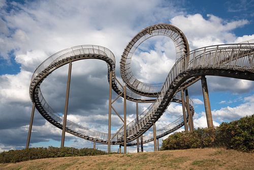Tijger en schildpad in Duisburg, Metropole Ruhr, Duitsland
