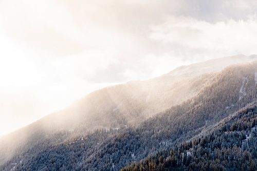 Verse sneeuw in het bos van Val d'Herens