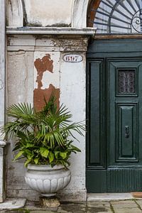 Tür mit Pflanze Venedig