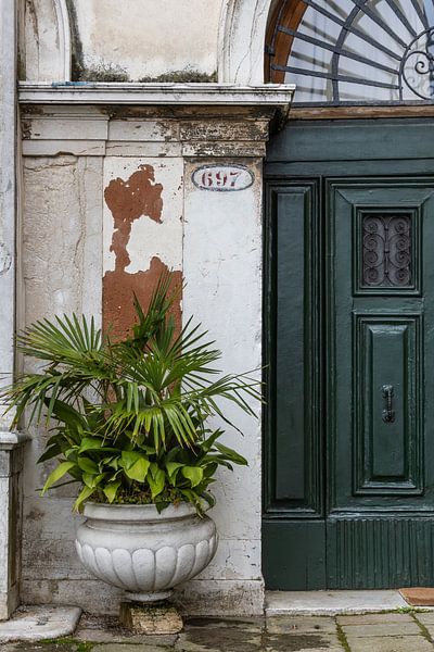 Door with plant Venice by Sander Groenendijk