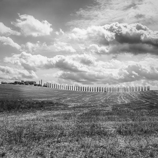 Italië in vierkant zwart wit, Toscane van Teun Ruijters