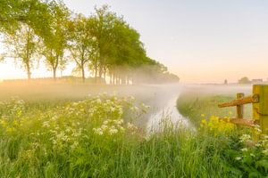 Early morning sunrise during a beautiful springtime day over the Zwartendijk near Kampen